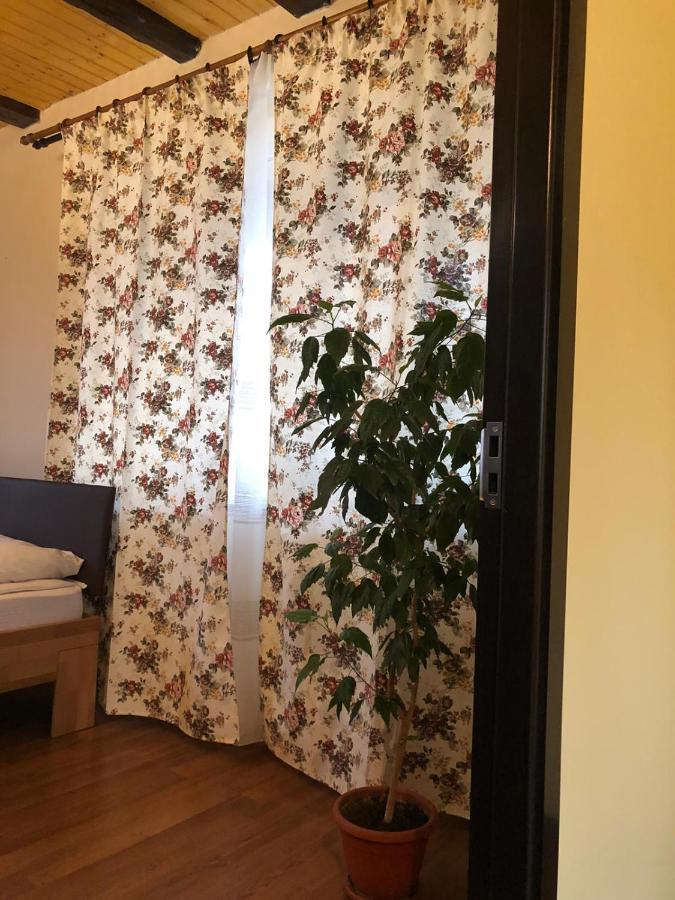 Hotel Casa Albert Valea Avrigului Extérieur photo